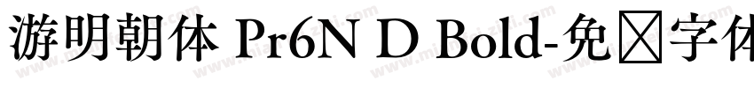 游明朝体 Pr6N D Bold字体转换